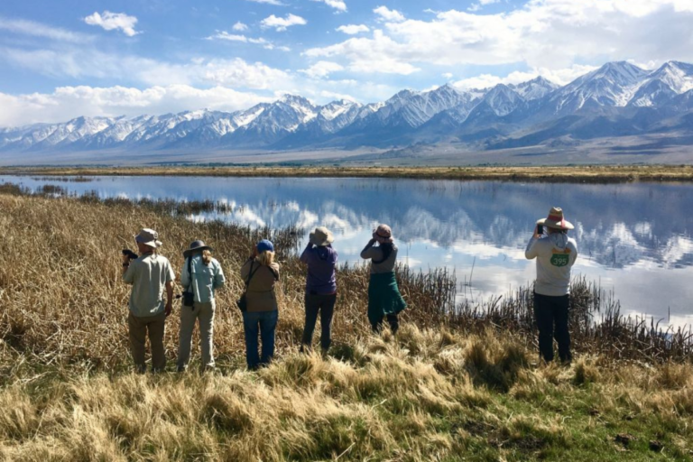 Bird Watching in Inyo County