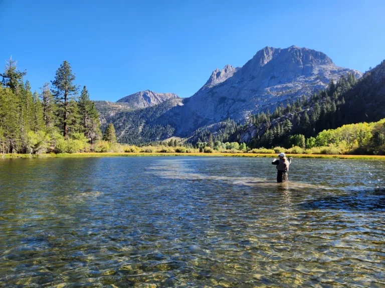 Fly Fishing GuidING SERVICES in Inyo County