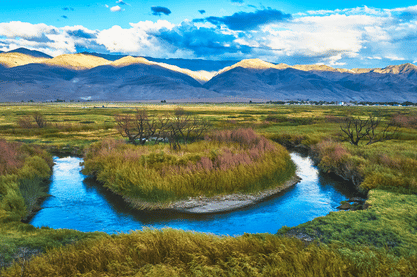 Owens River, Owens Valley, Ca.