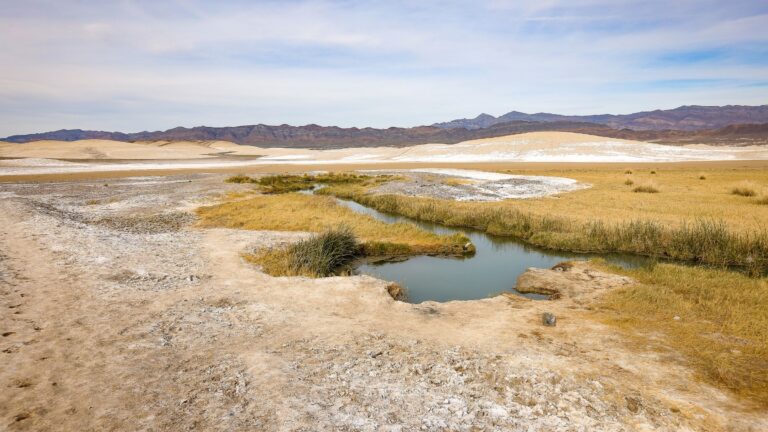 Things to Do in Tecopa, California: Hot Springs, Date Farms & Desert Adventures