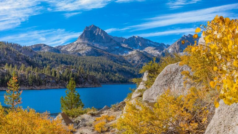 Bishop Fall Colors: Bishop Creek Canyon and Beyond